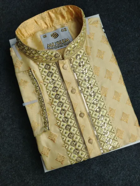 কাতান এম্বটারি পাঞ্জাবী